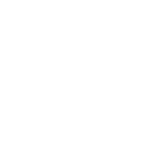 Ozone Group badge