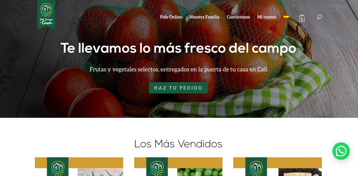 DelCampoaCasaSite