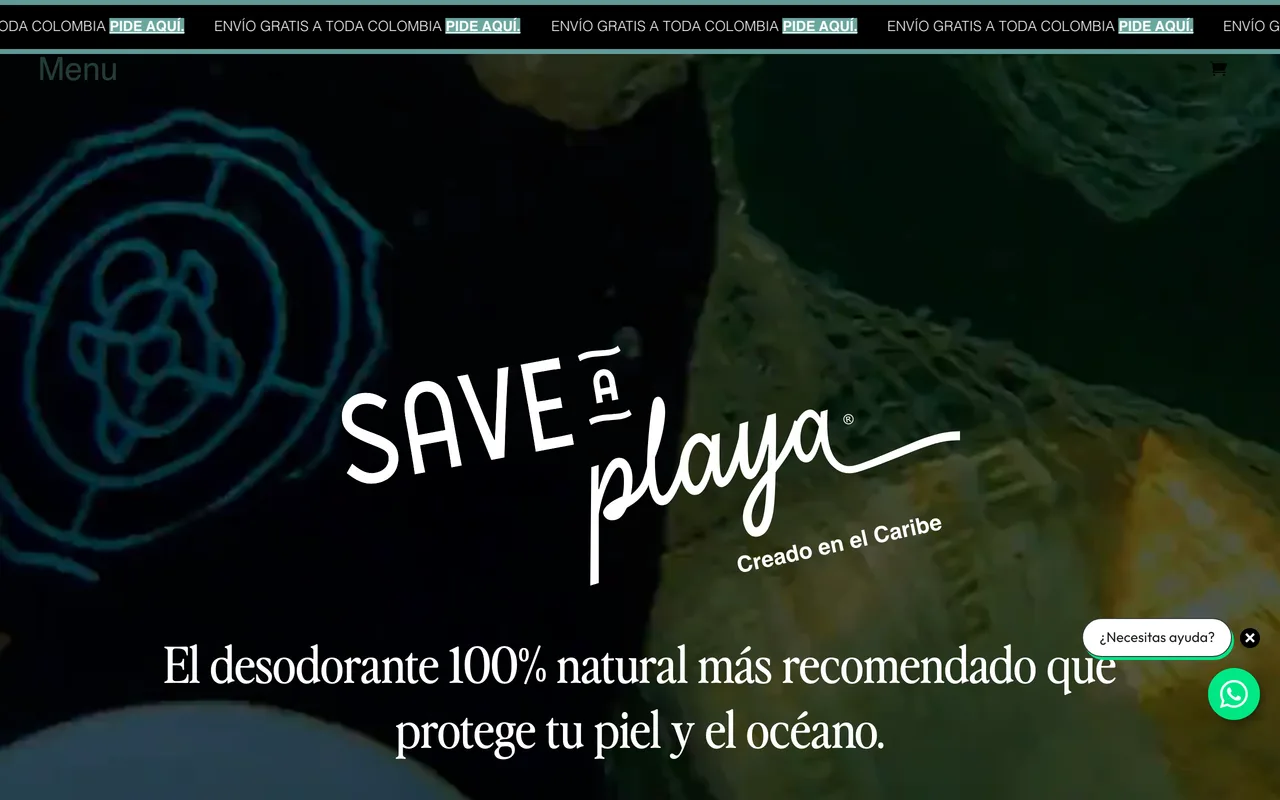 saveaplaya.org home page